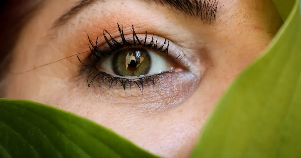 Green eyes 2023 11 27 05 34 17 utc