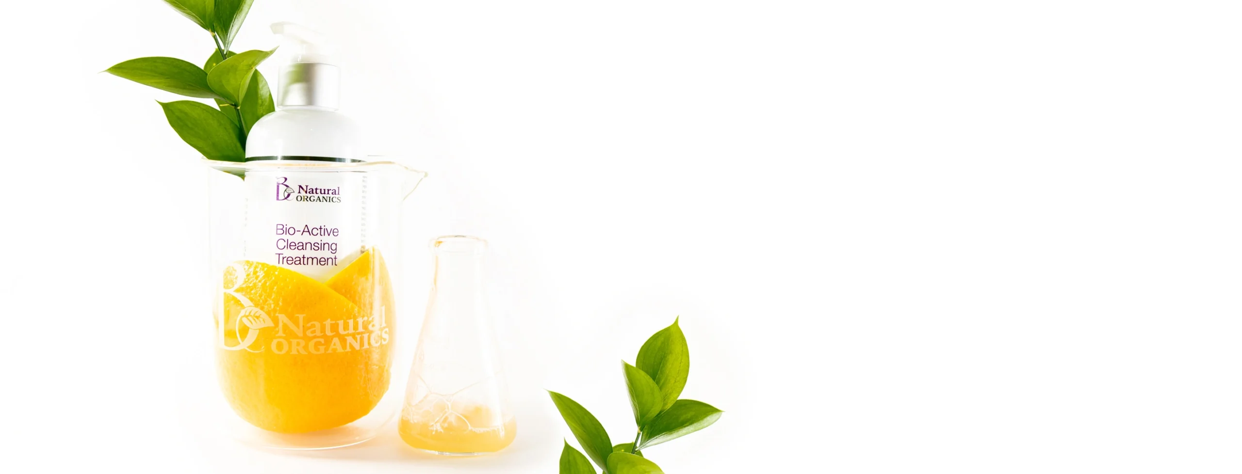 8223 2880x1100 Alt (1)