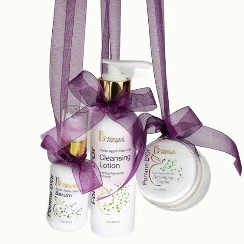 Diseño sin título (19)