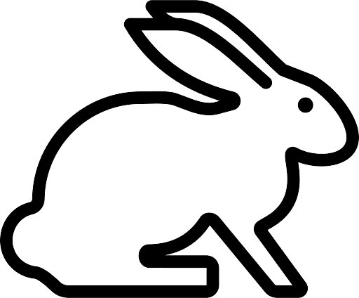 rabbit icon