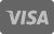Visa Card