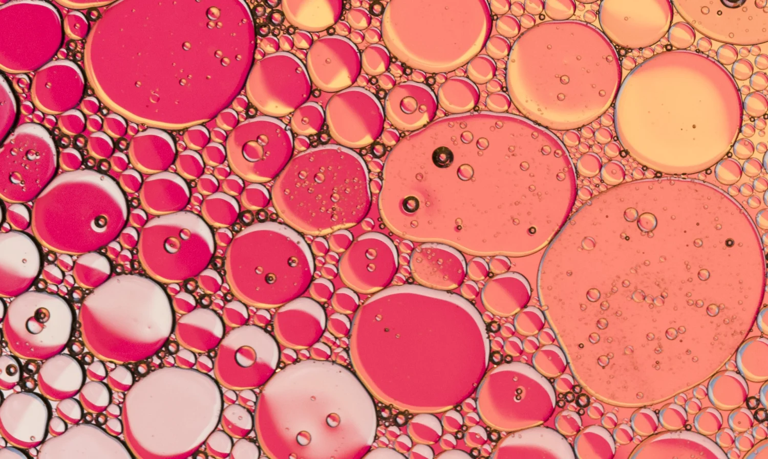 Panal rosa abstracto con burbujas